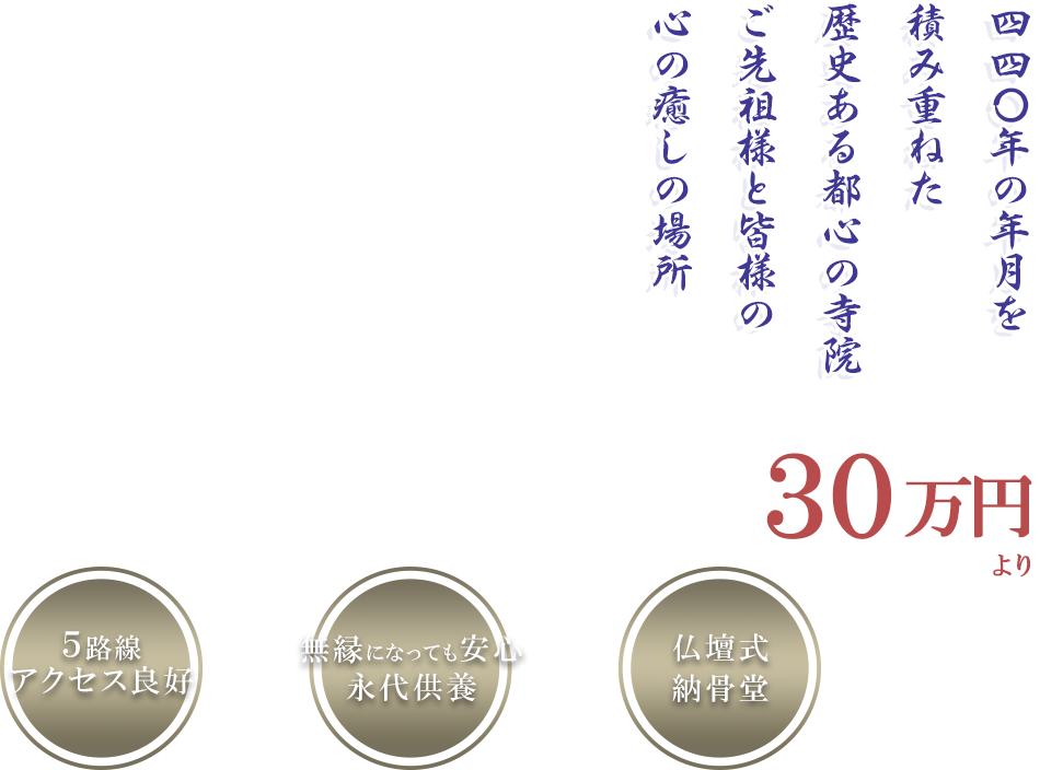 プレミアムプラン