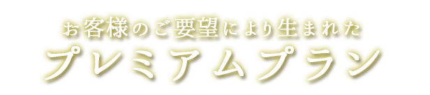 プレミアムプラン